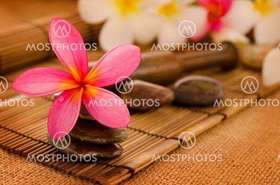 Tropical spa