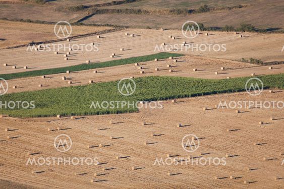 Countryside, Gayangos, Las Merindades, Burgos, Castilla y Leon, Spain