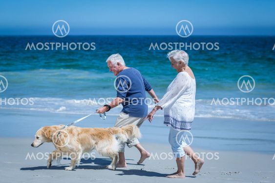 Cute mature couple holding hands walking the dog