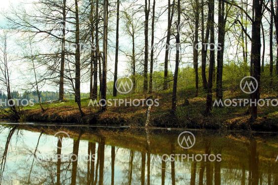 summer wood lake