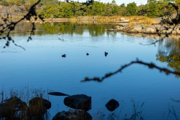 Utsikt från Boön, Karlshamn