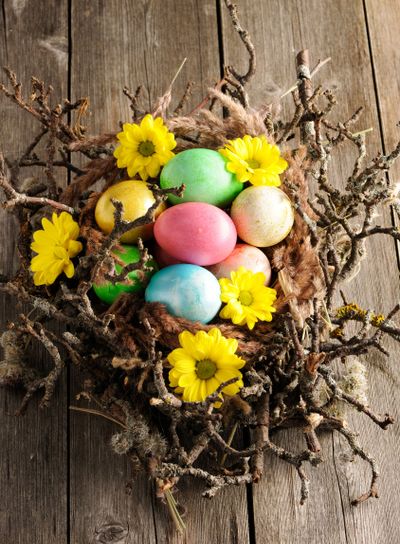 Colored easter eggs in nest