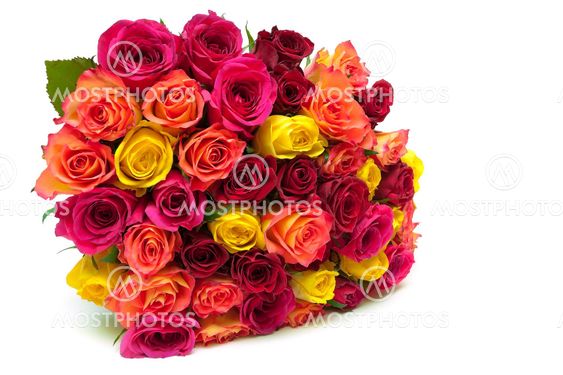 Large beautiful bouquet of roses isolated on white...
