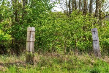 Farm, forest and nature with fence outdoor in wilderness...