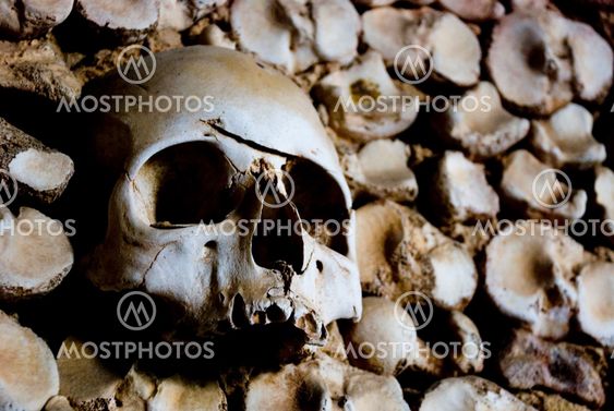 Skull