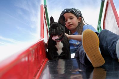 boy in chute with pet