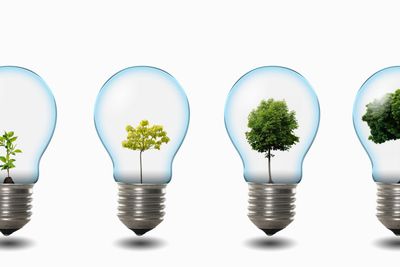 light bulb with nature