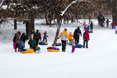 Many Happy families with children playing tobogganing in...