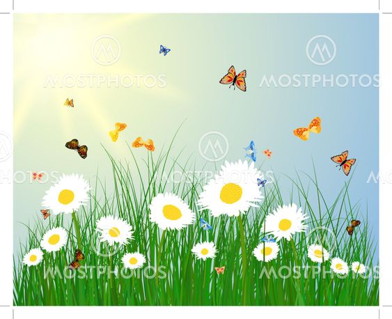 Color meadow