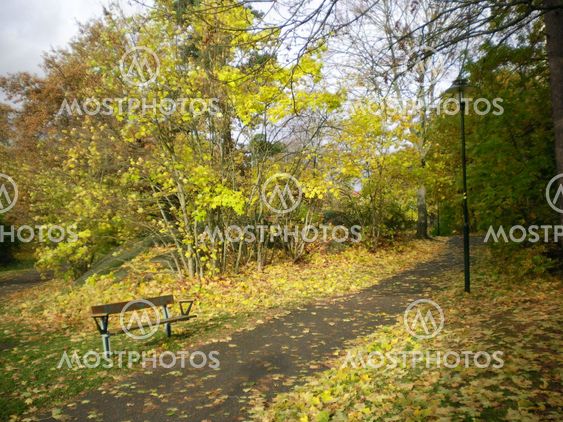 Höstpark