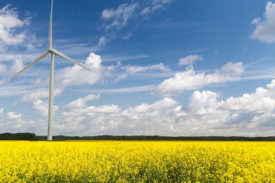 Vindkraftverk på rapsfält i Skåne, Sverige