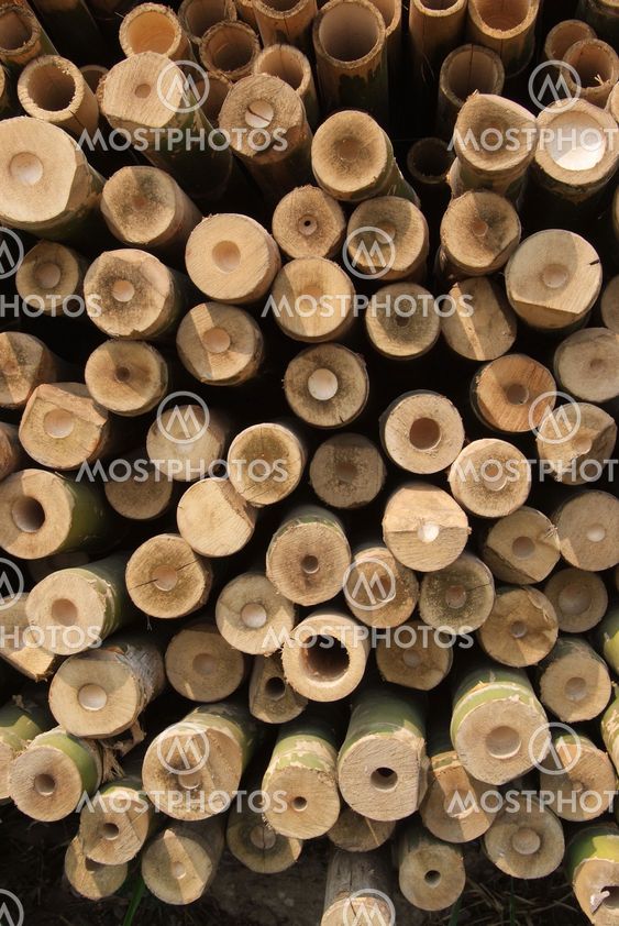 A pile of wood.
