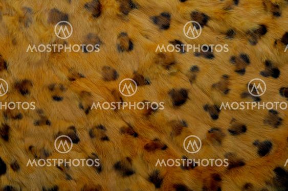 Leopard skin texture