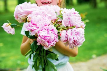 Close-up of kid girl holding huge bouquet of pink peony...