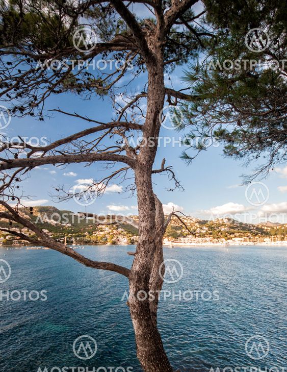 Landscapes of Mallorca
