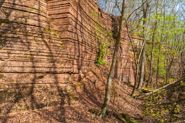 Rock face in an old quarry with lush trees in spring