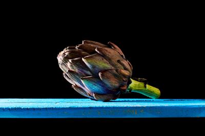 Purple artichoke at backlight in a darkness ambient.