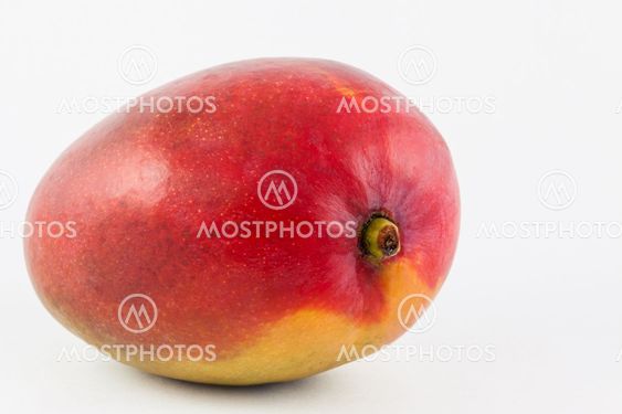 Mango (Mangifera indica) on white background