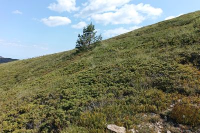Summer landscape of Belasitsa Mountain, Bulgaria