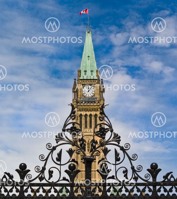 Gated Politics