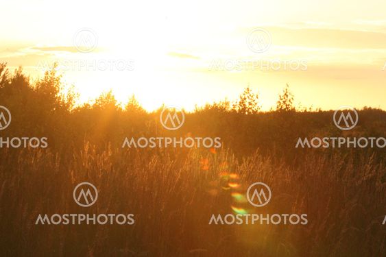 2011-08-16 Sol i Rödby Danmark :