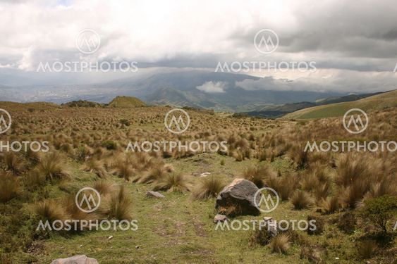 Pichincha