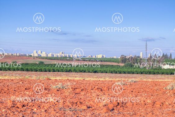 Country landscape