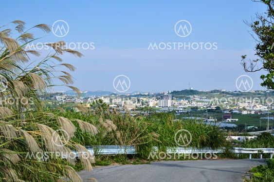 Okinawan landscape