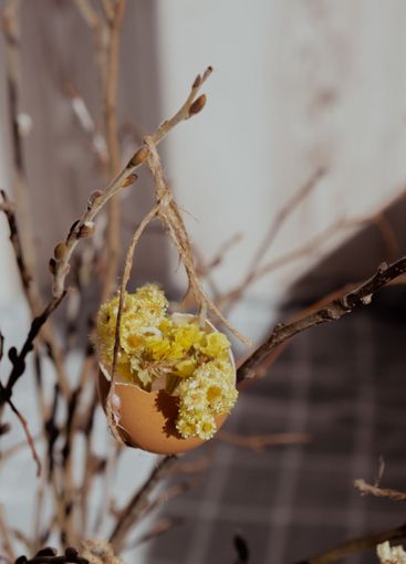 Egg shell handmade decoration for Easter holiday....