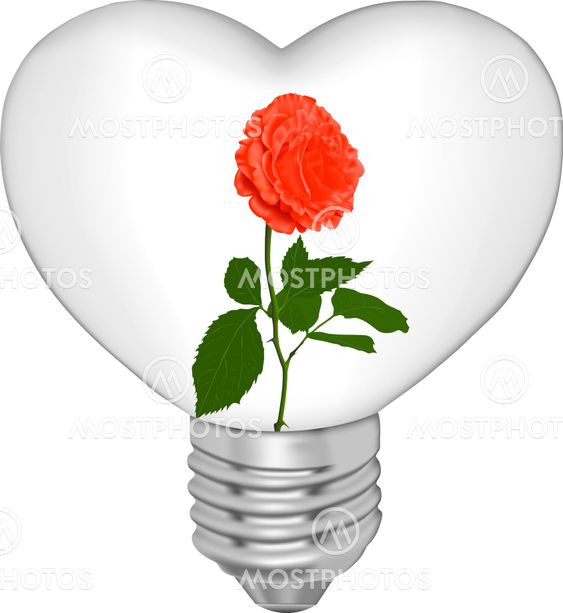 Bulb in the form of heart and in it a flower