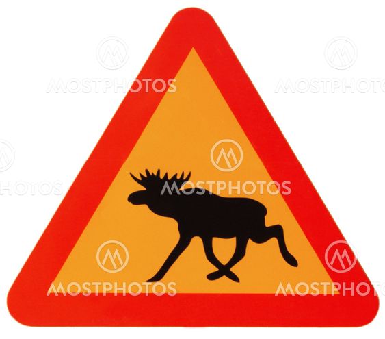 Achtung Elch | attention elk