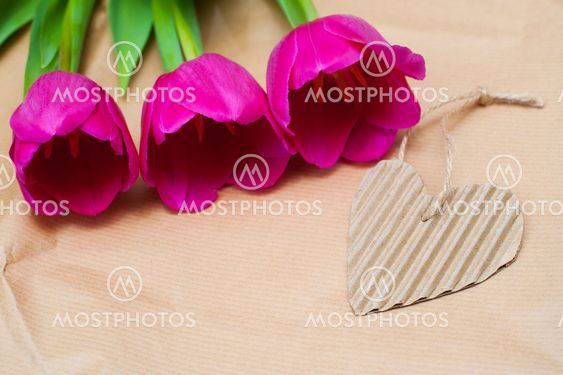 three purple tulip and paper heart with place for text