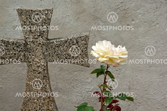 Cross and rose