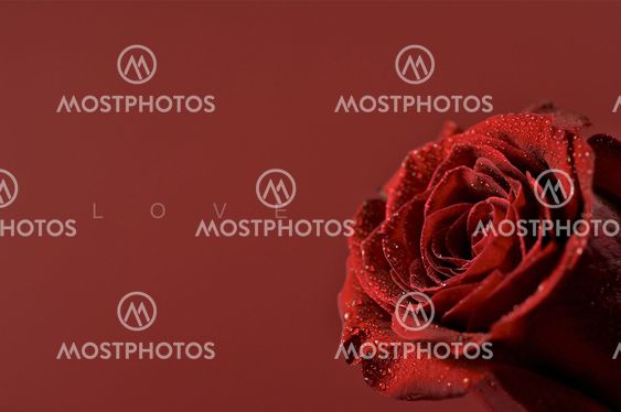 Love Theme