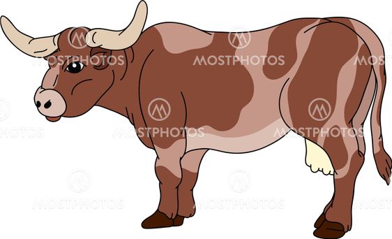 cow