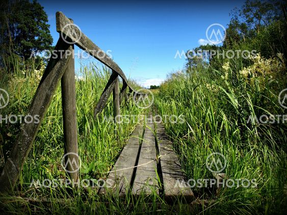 Green the footbridge