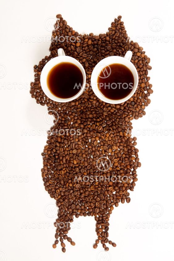 conceptual owl made with coffee beans and cups