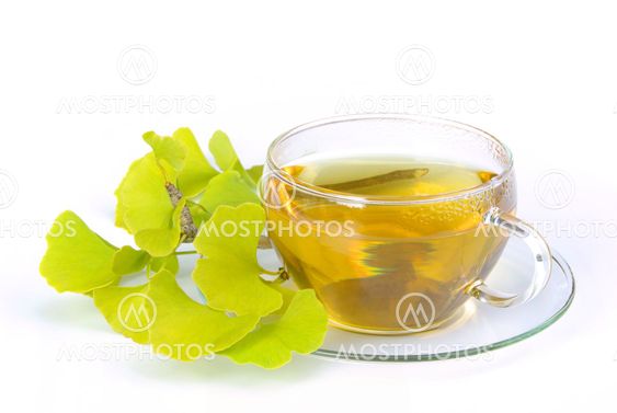 Tee Ginkgo - tea ginkgo 07