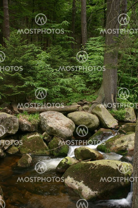 Mountain stream