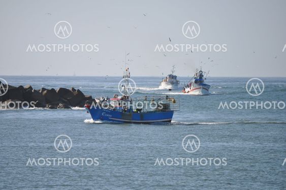 Fishing Boat Arriving