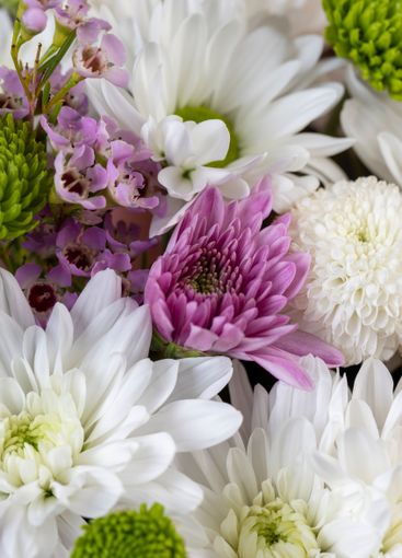 a bouquet of a large number of white flowers for a gift