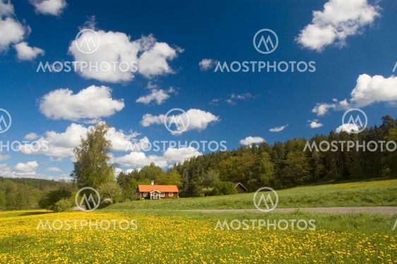 Swedish cottage in spring