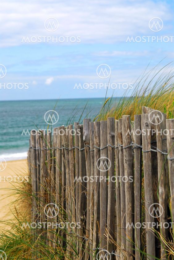 Beach fence