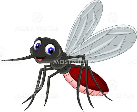 cute mosquito cartoon