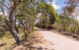 Mountains of Northern Nicaragaua