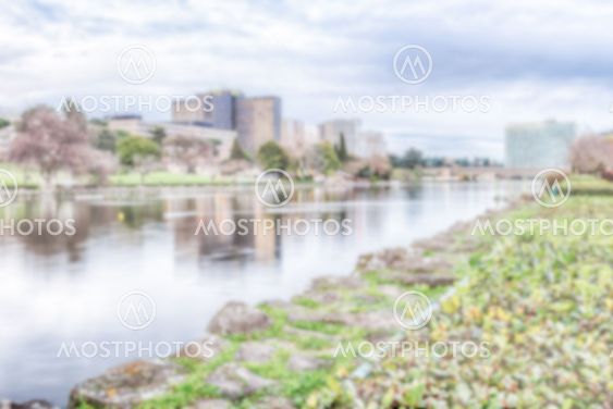 Defocused background with the lake of EUR in Rome, Italy