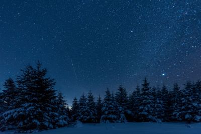 dark sky full of shiny stars in carpathian mountains in...