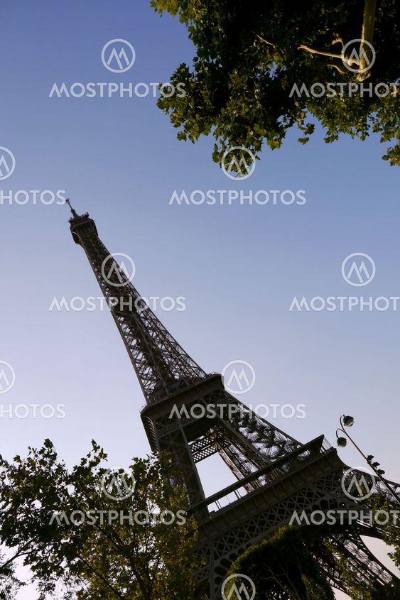 view through foliage of eiffel tower