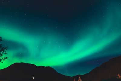 Beautiful picture of massive multicolored green vibrant...