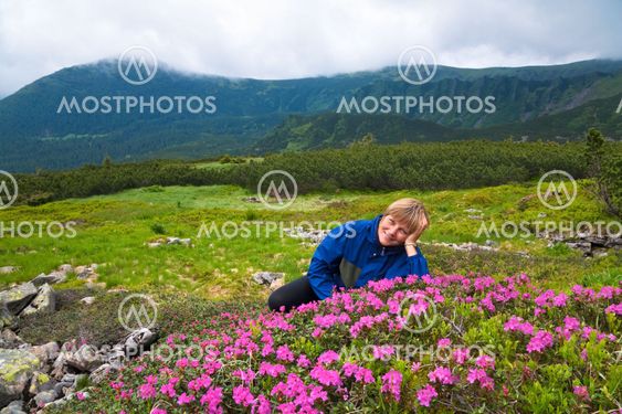 Mountain rhododendron blossoming